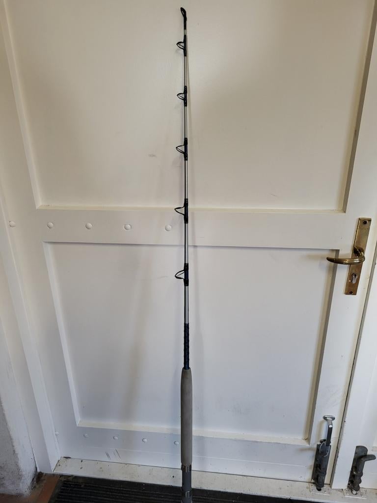 hengel, Watersport en Boten, Hengelsport | Algemeen, Werphengel, Ophalen of Verzenden