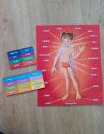 ZGAN menselijk Lichaam Puzzel Clementoni, Ophalen, Zo goed als nieuw, Taal en Lezen