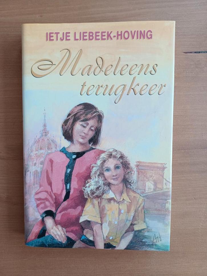 Madeleens terugkeer, Boeken, Romans, Gelezen, Nederland, Ophalen of Verzenden