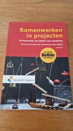 Ed Feijen - Samenwerken in projecten, Boeken, Ed Feijen; André Meester; Peter Hennevanger; Rob Groen, Sociale wetenschap, Ophalen of Verzenden