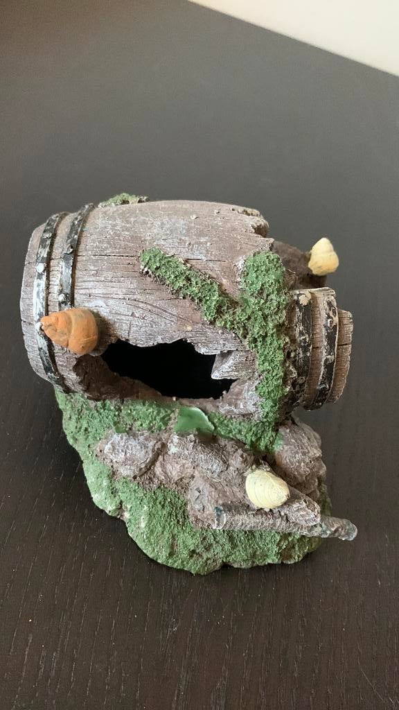 Ornement 16 vm, Ophalen, Zo goed als nieuw, Plant(en), Steen of Hout