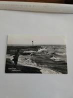 OUDE TONGE.  HAVENGEZICHT 1988, Ophalen of Verzenden, 1980 tot heden
