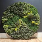 Mosschilderij 70 cm diameter, Ophalen of Verzenden