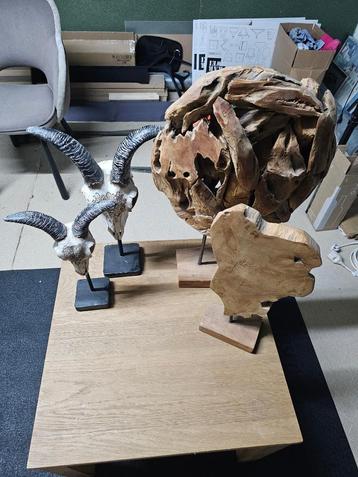 Beeldjes schedel hout decoratie beschikbaar voor biedingen