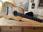 Leonard Plattner flamencogitaar 2013 – meesterinstrument, Ophalen of Verzenden, Gebruikt, Klassieke of Spaanse gitaar, Met koffer