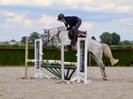 Nieuwe advertentie! Super lieve D pony met potentie !, Dieren en Toebehoren, Paarden, Merrie, Minder dan 160 cm, Zadelmak, 7 tot 10 jaar