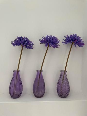 3 vaasjes met bloemen beschikbaar voor biedingen