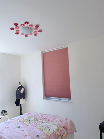 DUETTE Shades met ab en wifi app NIEUW top down bottom up! beschikbaar voor biedingen