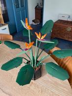 Lego Botanical collection ‘Bird of paradise’’, set 10289, Ophalen of Verzenden, Zo goed als nieuw, Complete set, Lego