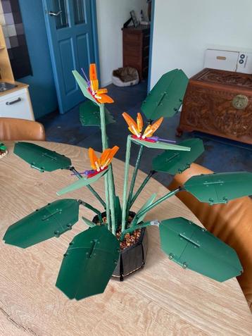 Lego Botanical collection ‘Bird of paradise’’, set 10289 beschikbaar voor biedingen
