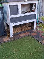 2 lieve konijnen met alles erbij, Dieren en Toebehoren, Konijnen, Meerdere dieren