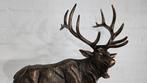 EDELHERT / gietijzer, Verzamelen, Dierenverzamelingen, Ophalen of Verzenden, Nieuw, Hert, Beeldje of Figuurtje