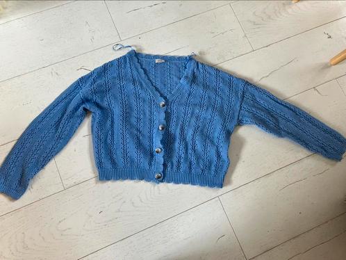Goede kwaliteit zomer vest baby blauw S/36, Kleding | Dames, Truien en Vesten, Zo goed als nieuw, Maat 36 (S), Blauw, Ophalen of Verzenden