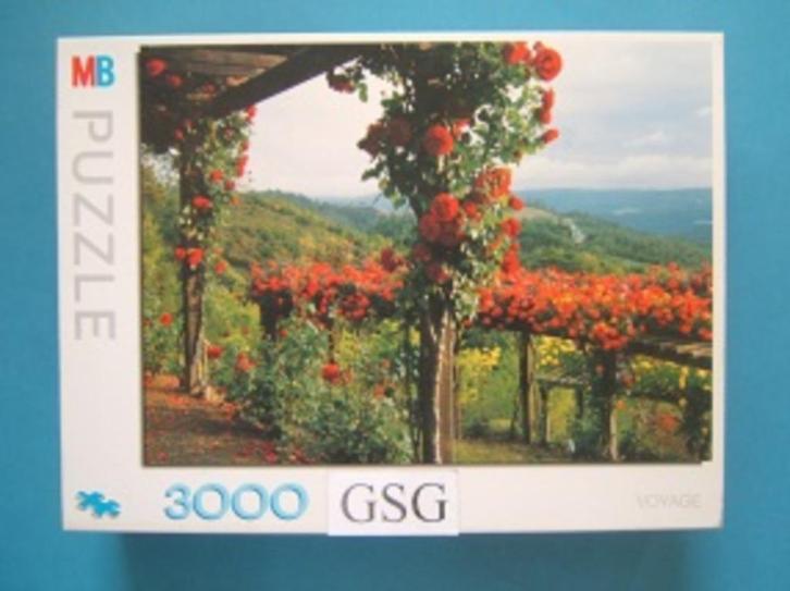 De klimrozen 3000 st nr. 16207, Hobby en Vrije tijd, Denksport en Puzzels, Zo goed als nieuw, Meer dan 1500 stukjes, Ophalen