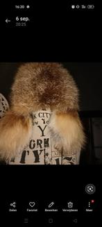 Vosbontmuts, Antiek en Kunst, Ophalen of Verzenden