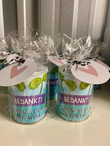 Bedankt – Grow Your Own Wish Magisch Boontje beschikbaar voor biedingen