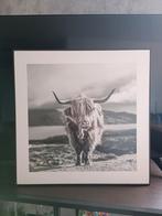 canvas schotse hooglander zit heel klein plekje, Huis en Inrichting, Woonaccessoires | Overige, Ophalen of Verzenden, Zo goed als nieuw