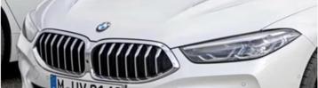 Originele nieren / grille met cameragat BMW 8 serie NIEUW beschikbaar voor biedingen