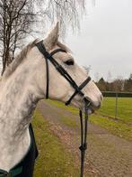 PS of Sweden hoofdstel, Dieren en Toebehoren, Ophalen of Verzenden, Gebruikt
