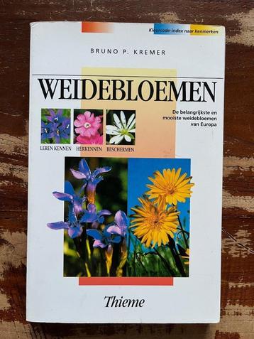 Weidebloemen (Thieme plantengids) beschikbaar voor biedingen