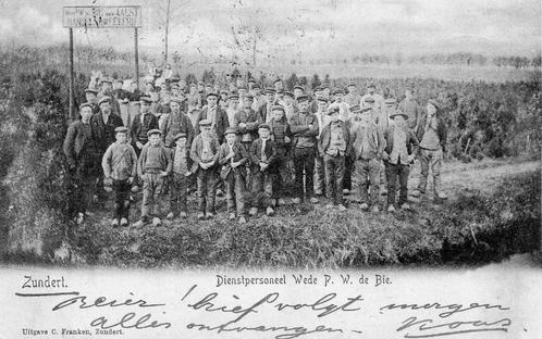 Zundert - Dienstpersoneel Weduwe De Bie - Kweekerij 1903, Verzamelen, Ansichtkaarten | Nederland, Gelopen, Noord-Brabant, Voor 1920