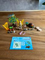 Playmobil 5451 Fairies Fee Melodie tussen de dieren v/h bos, Ophalen of Verzenden, Zo goed als nieuw, Complete set