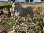 Gezocht: mooi beeld van paard in tuin, Ophalen of Verzenden