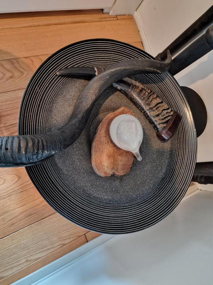 Industrieel stoer set met buffel hoorn Natuzzi schaal rtc, Huis en Inrichting, Woonaccessoires | Overige, Zo goed als nieuw, Ophalen of Verzenden