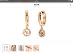 Rosé staal kleurig oorbel hangers  (lucardi) GUESS, Overige materialen, Hangers, Nieuw, Ophalen of Verzenden
