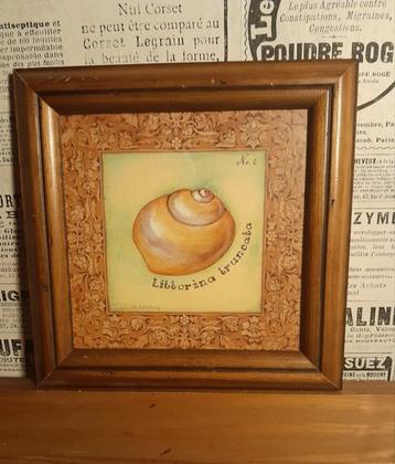 🐚 LEUKE AFBEELDING VAN EEN SCHELP IN LIJST 🐚 beschikbaar voor biedingen