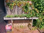 Aardbeien-plantenrek / hout / 5 bakken inclusief planten, Ophalen, Gebruikt