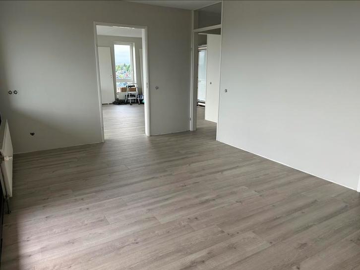 klusser ( kitwerk, schilderwerk, laminaat, timmerwerk etc., Diensten en Vakmensen, Klussers en Klusbedrijven