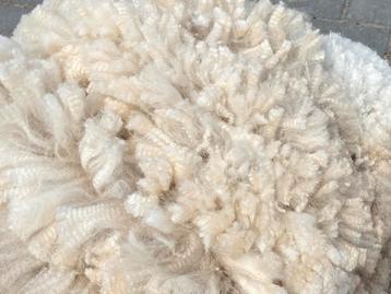 Exclusief Royal Delight Alpaca Fleeces (ruwe wol)	 beschikbaar voor biedingen