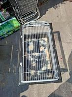 Cavia kooi van ferplast, Dieren en Toebehoren, Kooi, Gebruikt, 60 tot 90 cm, Ophalen of Verzenden