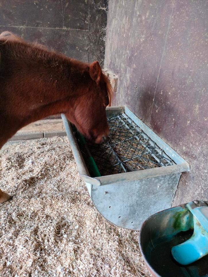 Slowfeeder, hooiruif, Dieren en Toebehoren, Stalling en Weidegang