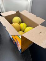 15 Gebruikte Tennisballen - Hondenspeelgoed, Dieren en Toebehoren, Hondenspeelgoed, Ophalen of Verzenden, Gebruikt