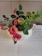 Oude po/bloempot, Ophalen of Verzenden, Overige soorten, Minder dan 100 cm