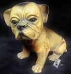 Groot oud beeld schattige FRENCH BULLDOG Franse Bulldog, Verzamelen, Beelden en Beeldjes, Ophalen of Verzenden, Gebruikt, Dier