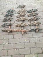 16 Oude Muurankers, Ophalen