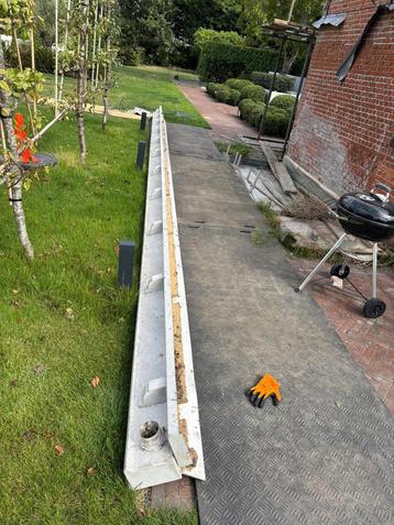 Polyplus goten 2 stuks 2013 beschikbaar voor biedingen
