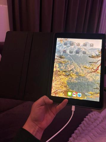 Ipad Air 2 64gb beschikbaar voor biedingen
