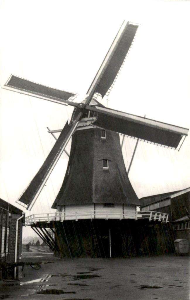 Ede - Korenmolen Werklust, Verzamelen, Ansichtkaarten | Nederland, Ongelopen, Gelderland, Voor 1920, Ophalen of Verzenden