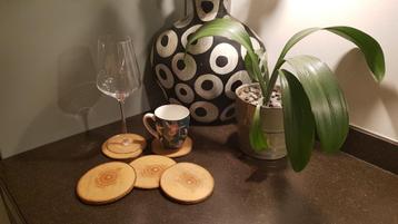 Houten Onderzetters – 10 stuks €9 beschikbaar voor biedingen