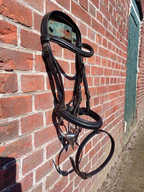 Cob hoofdstel, Dieren en Toebehoren, Paarden en Pony's | Hoofdstellen en Tuigage, Zo goed als nieuw, Dressuur, Ophalen of Verzenden