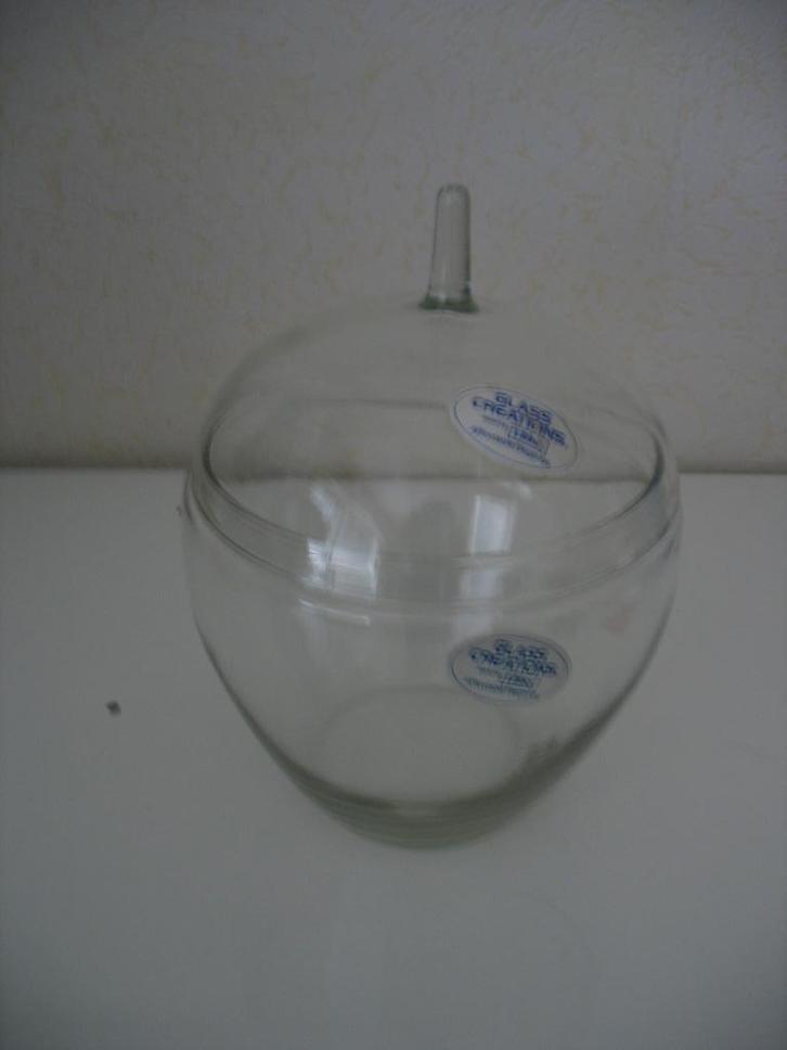 glazen schaal voor bowl, Huis en Inrichting, Woonaccessoires | Schalen en Manden, Nieuw, Overige vormen, Glas, Ophalen of Verzenden