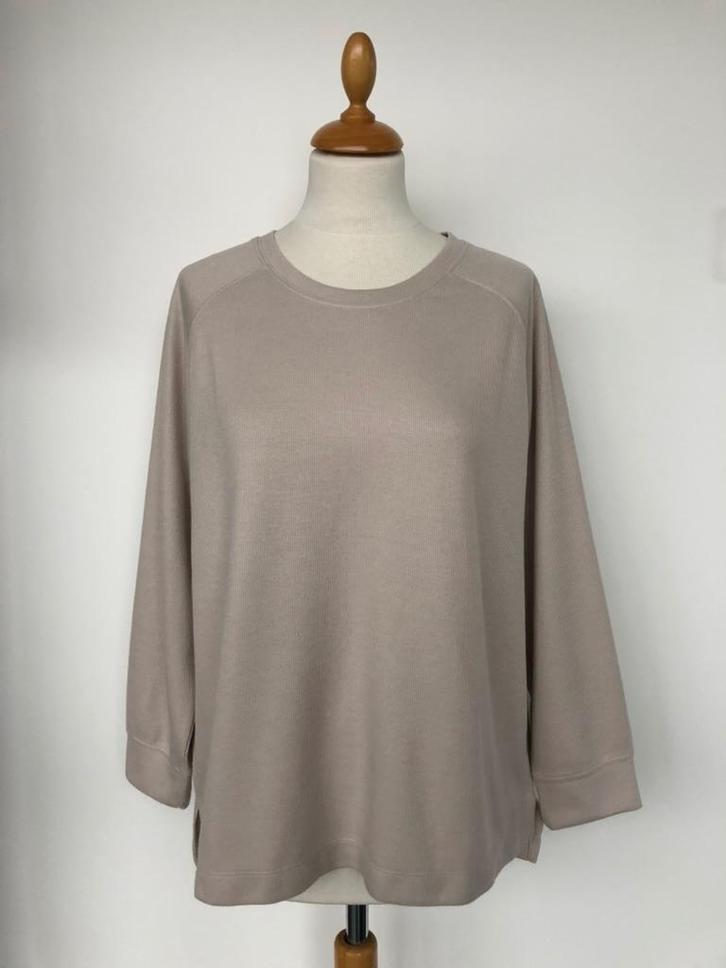 Trui, maat L, Kleding | Dames, Truien en Vesten, Gedragen, Maat 42/44 (L), Overige kleuren, Verzenden