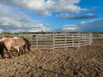 Paddock, paneel, Texas hekken