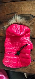 Jasje voor Chihuahua of kleine andere soort Roodkleurig, ., Ophalen of Verzenden, Zo goed als nieuw, .