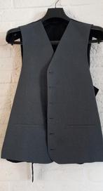 Gillet, Ophalen of Verzenden, Zo goed als nieuw, Maat 52/54 (L)