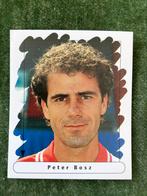 Panini 1995/96 PETER BOSZ FEYENOORD sticker Junior, Sticker, Zo goed als nieuw, Verzenden